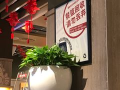 大堂-肯德基(桂林阳朔店)