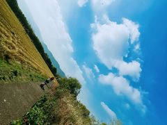 -长兴太湖图影湿地文化园