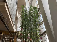 -上海柏悦酒店·世纪100牛排馆