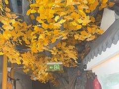 -食悦江南·淮扬菜·烤鸭(亚运村·惠新店)