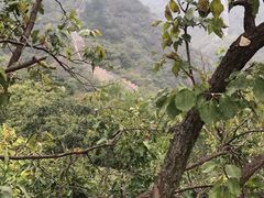-美滋客烘焙(韩家川店)