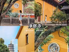 -杭州奥体中心-体育场