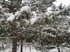 -元大都城垣遗址公园