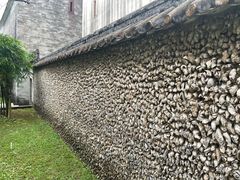 -碧江金楼