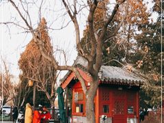 -北海公园-停车场