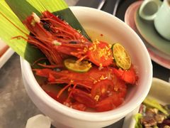 -Hi City·城市之巅