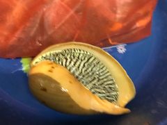 -班赞海鲜市场