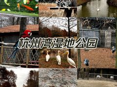-宁波杭州湾国家湿地公园