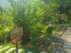 -广东中医药博物馆