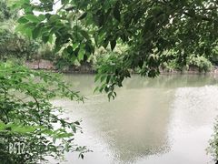 -花溪公园