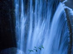 -祁门牯牛降观音堂风景区