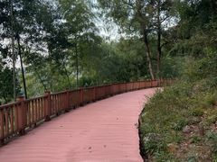 -大余丫山旅游度假区