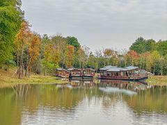 -上海海湾国家森林公园