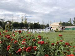 -洪湖家庭农场·团建·露营·会议