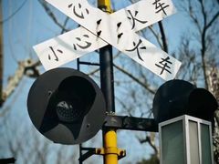 -顾村公园