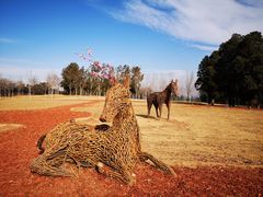 -北京西山国家森林公园