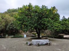 -千岛湖东南湖区