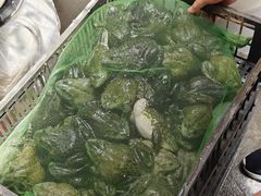 -好巴适藤椒鱼(红牌楼北街店)