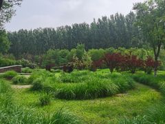 -东郊湿地公园
