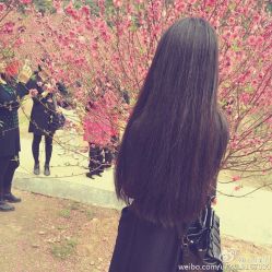 -格调形象
