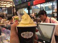 -野人先生现做冰淇淋(西安赛格店)