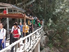 -九龙江国家森林公园