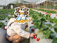 -凤岗南门山森林公园