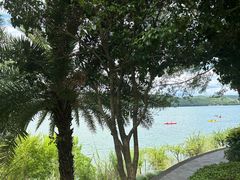 -千岛湖希尔顿休闲艇俱乐部