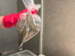 -盒马鲜生(枣园路店)