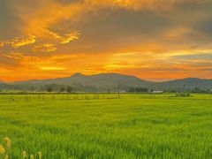 -楠溪江风景名胜区