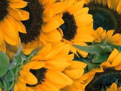 -好声音时尚量贩KTV(之心城店)