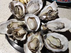 -蚝堡·生蚝海鲜烧烤物种起源•海肠捞饭(刘公岛店)