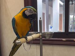 -观桥阁(锦溪店)