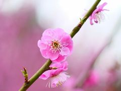 -商丘市人民公园