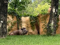 -北京野生动物园