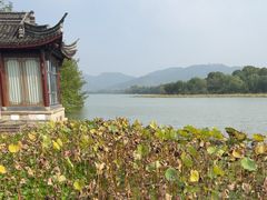 -湘湖大院(越王路店)
