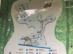 -都江堰中华大熊猫苑