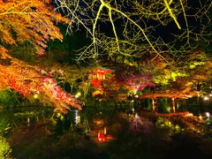 -醍醐寺