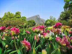 -南山植物园