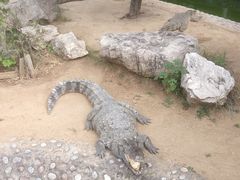 -石家庄市动物园