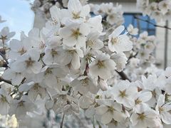 -山东省千佛山医院