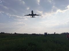 -空港花田景区