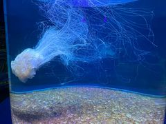 -欢乐海岸海洋奇梦馆