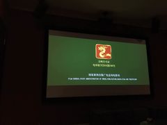 大屏-爱上影私人影院(农院路店)