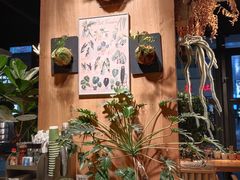 -1861意大利餐厅(文化广场店)