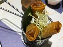 -点都德·毕德寮