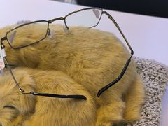 -罗伯特眼镜·蔡司官方授权(前海桂湾店)