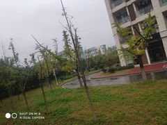 -南京医科大学(江宁校区)
