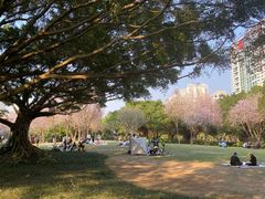 -南宁南湖公园