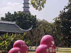 -江心屿景区
